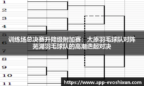 EVO视讯APP