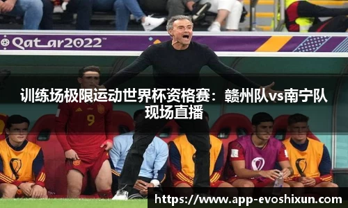 EVO视讯平台