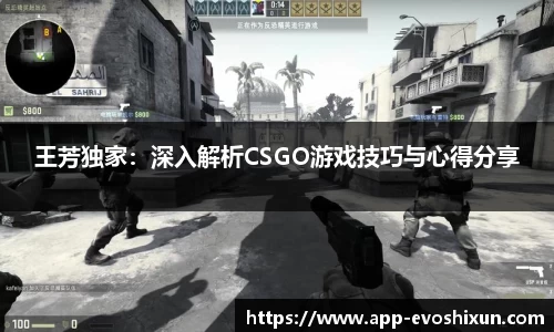 EVO视讯平台